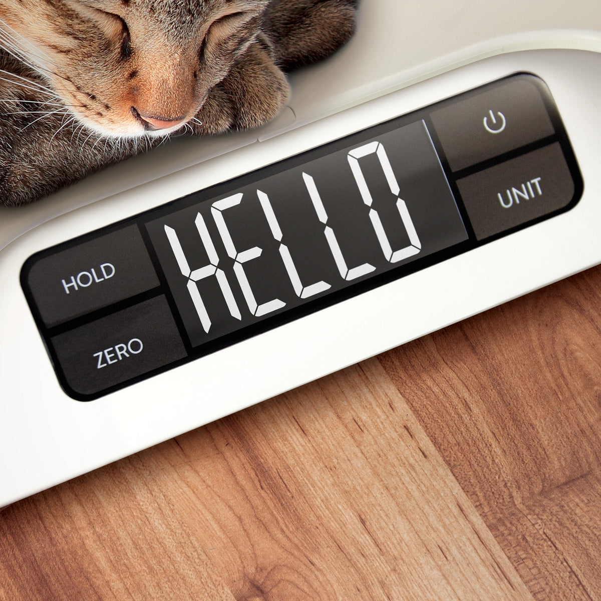 Pet Scale - Greater Goods