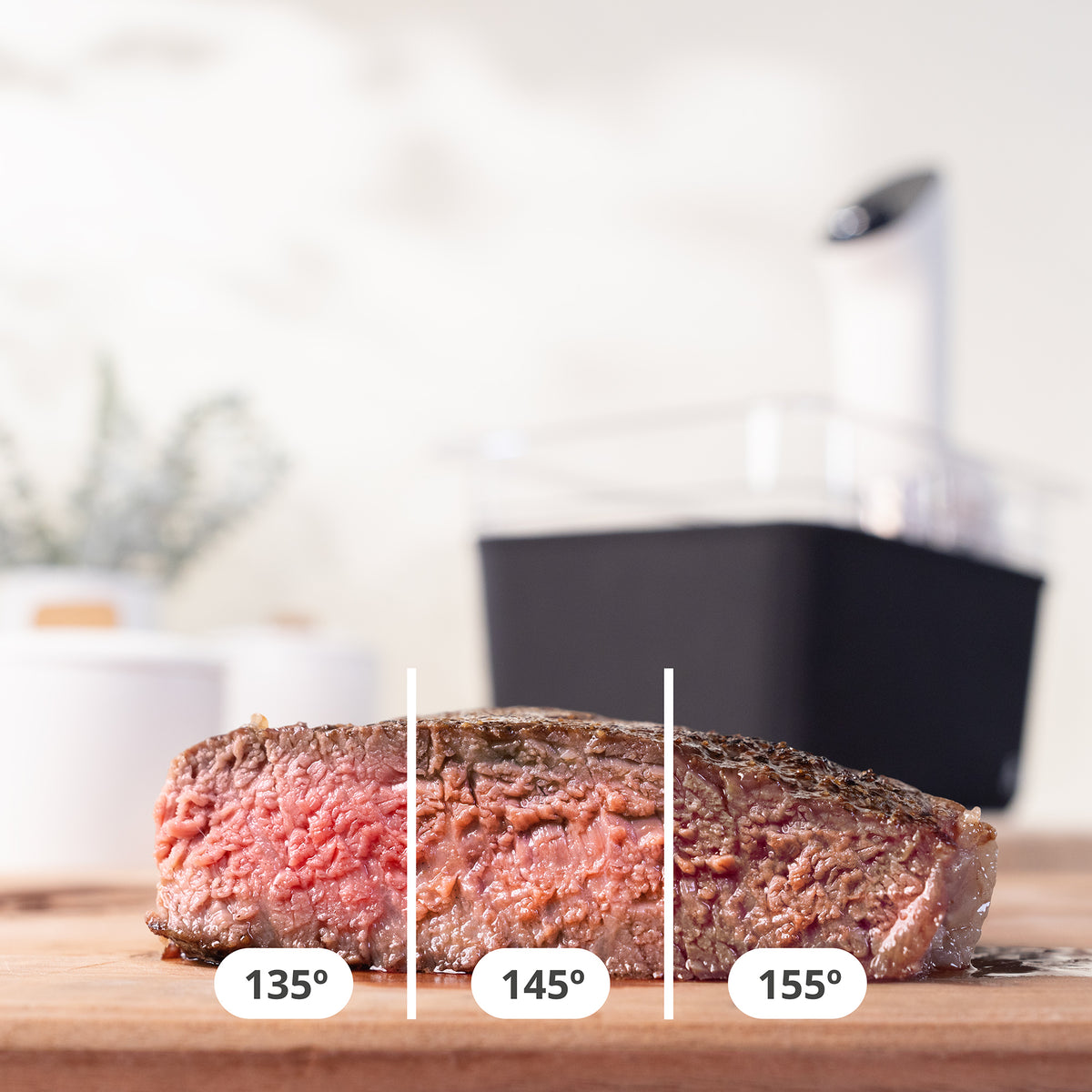Sous Vide Precision Cooker - Greater Goods