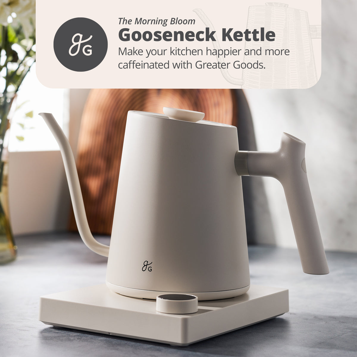 Electric Gooseneck Kettle