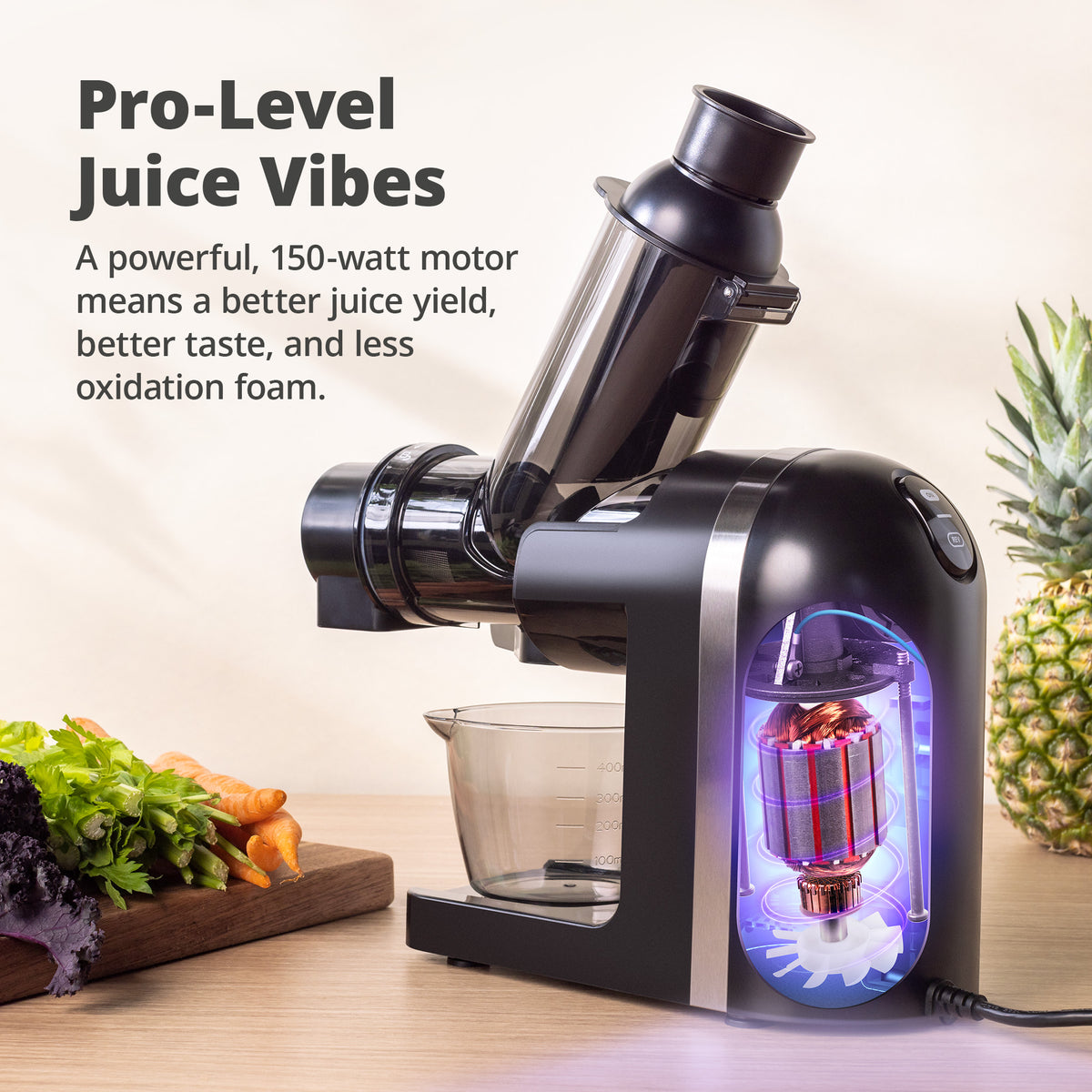 Cold Press Juicer