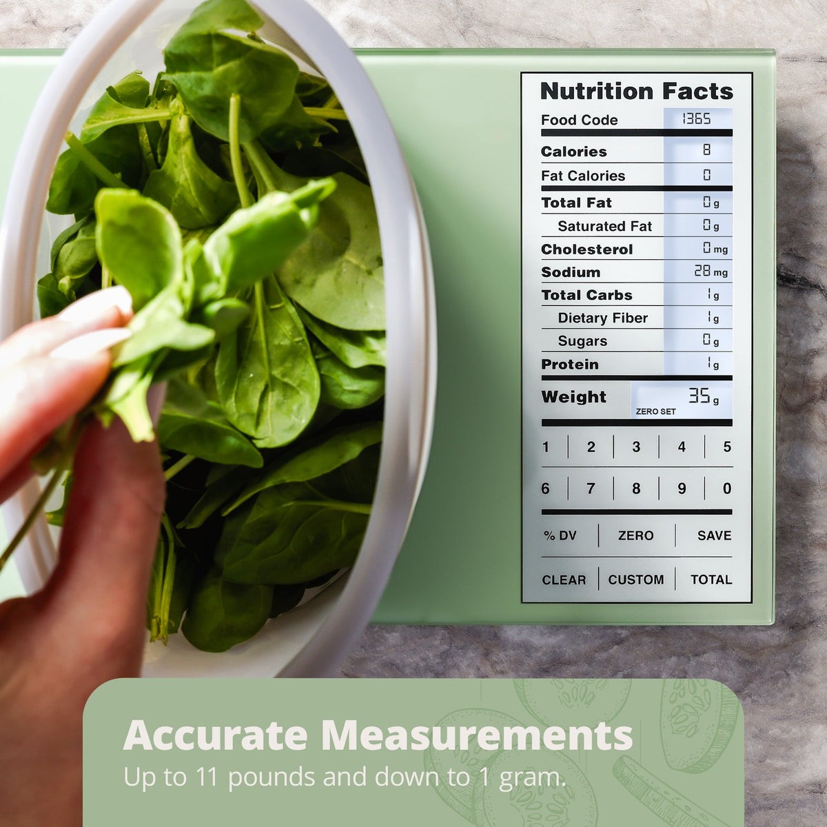 Nutrition Food Scale (Backlit), Sage Green