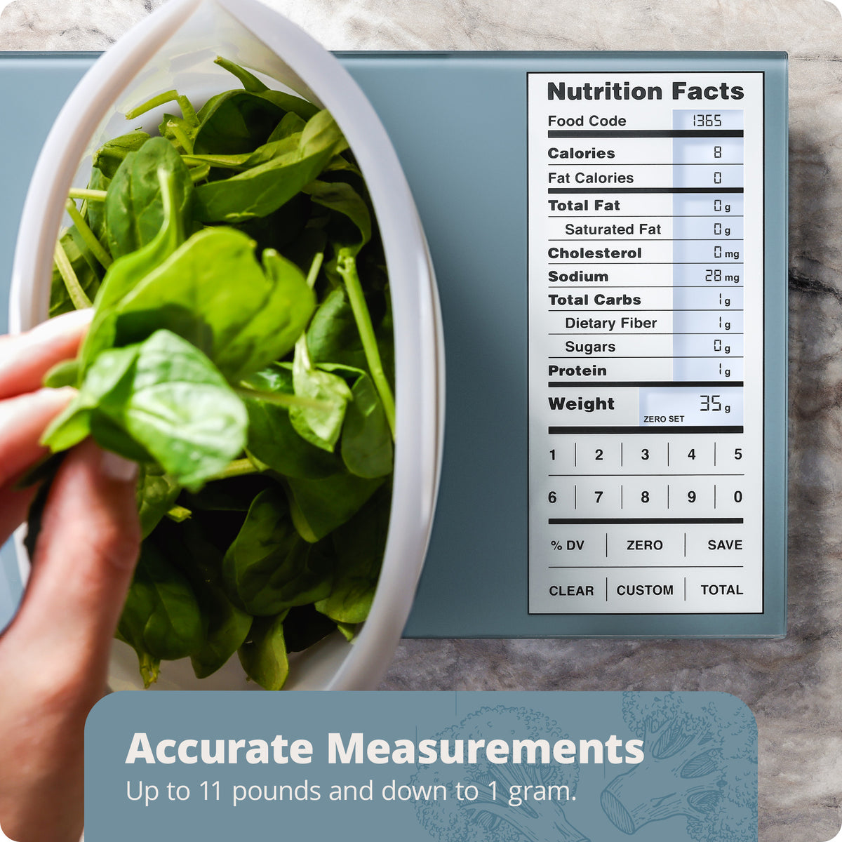 Nutrition Food Scale (Backlit), Stone Blue