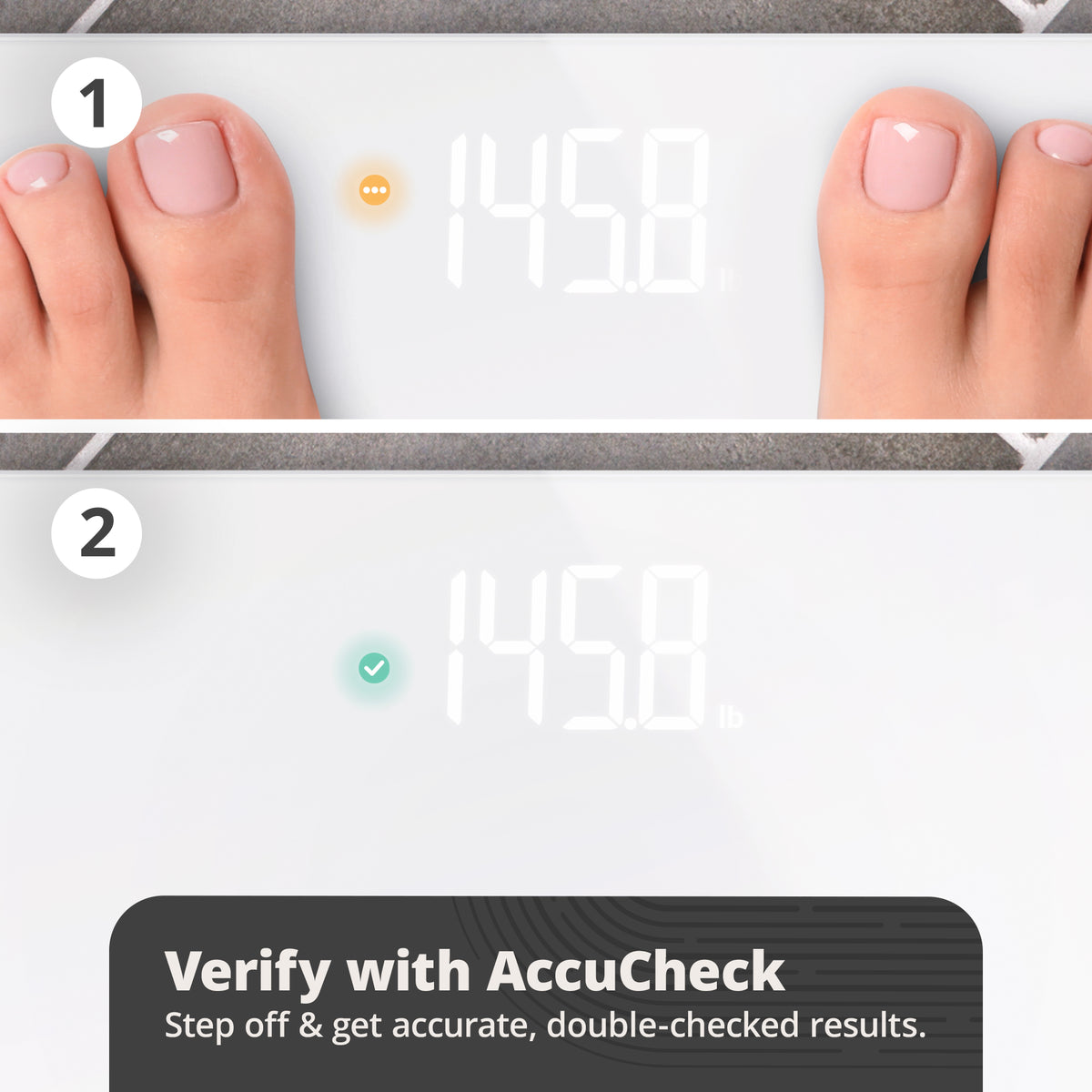 AccuCheck Scale