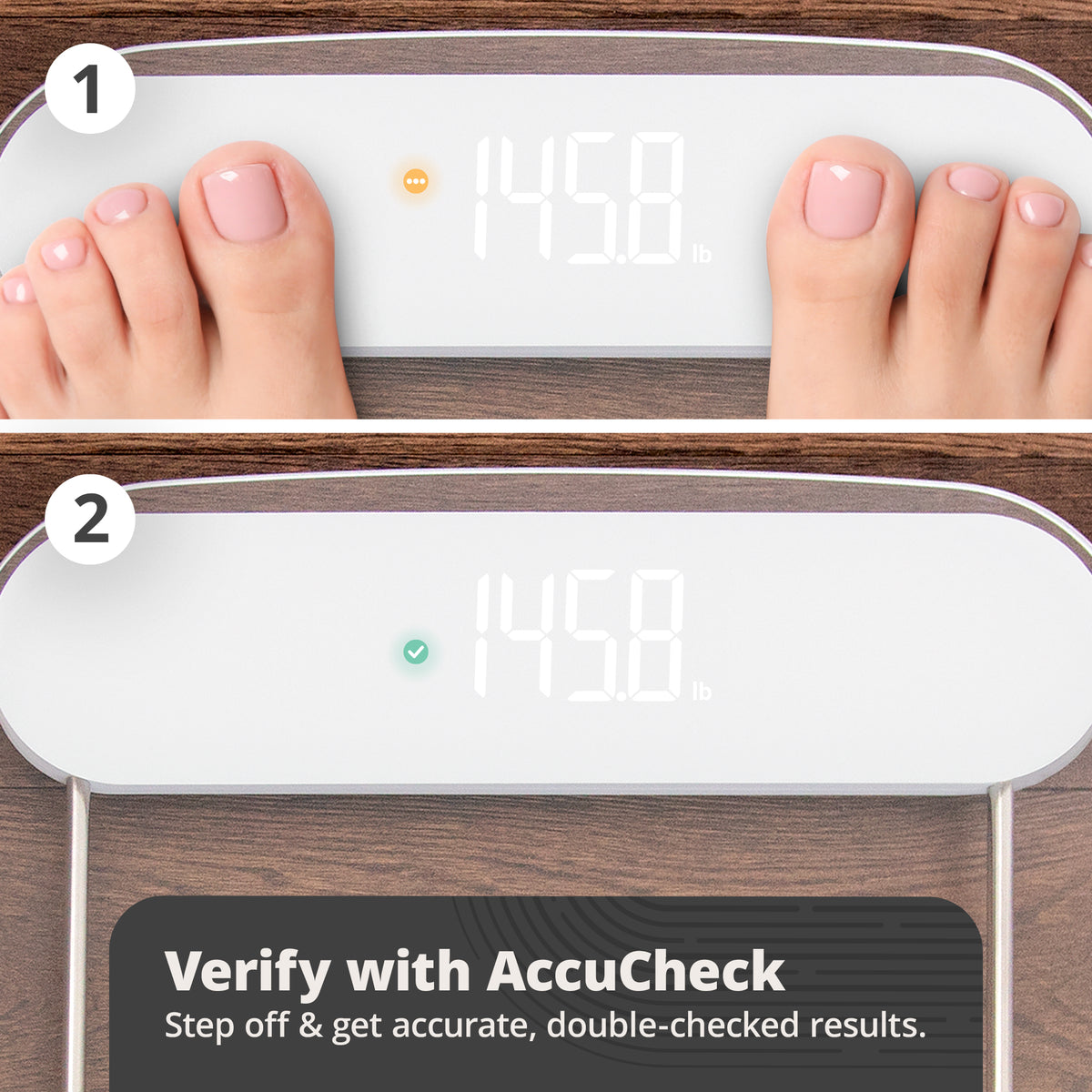 Greater Goods Digital AccuCheck Bathroom Scale for Body Weight, Clear