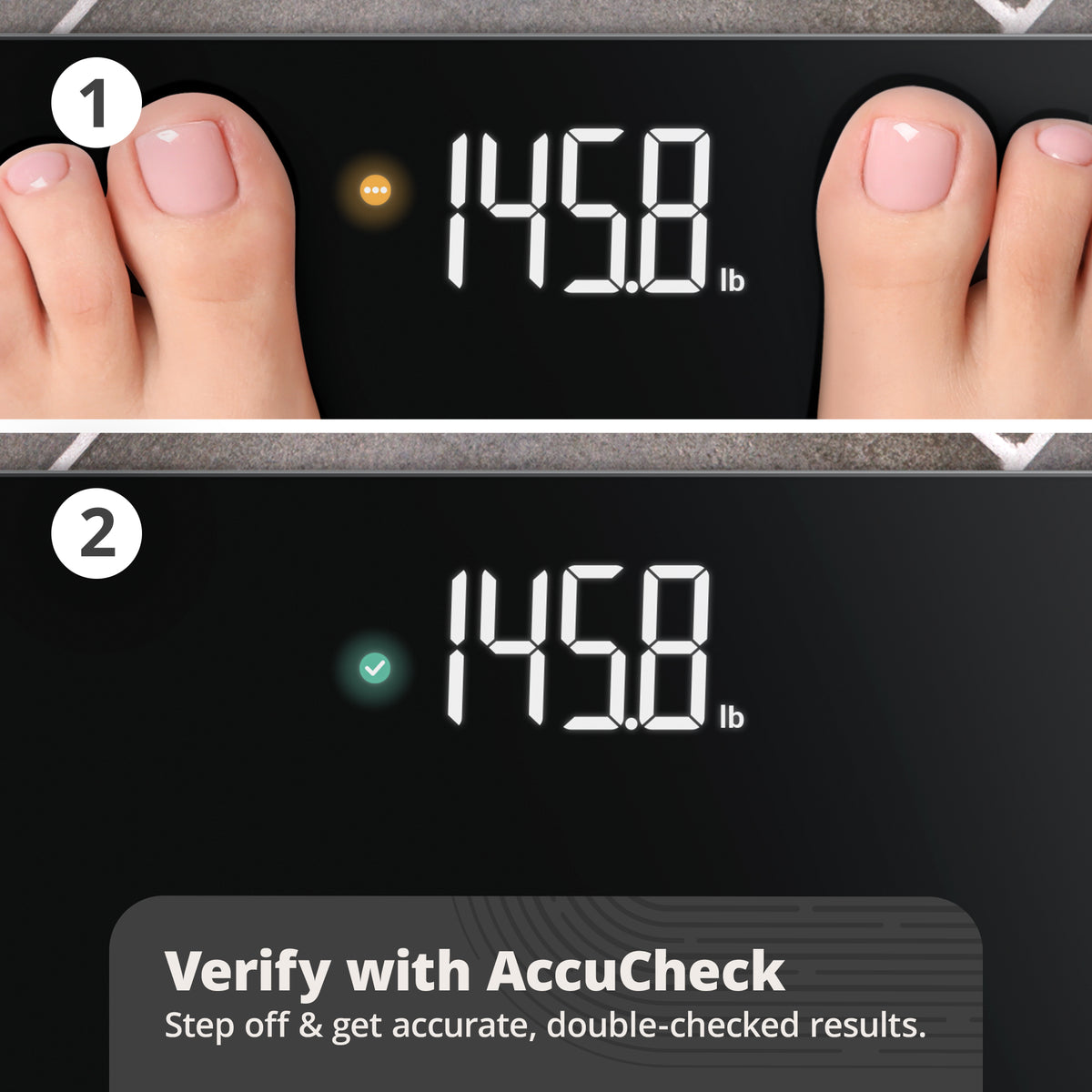 AccuCheck Scale