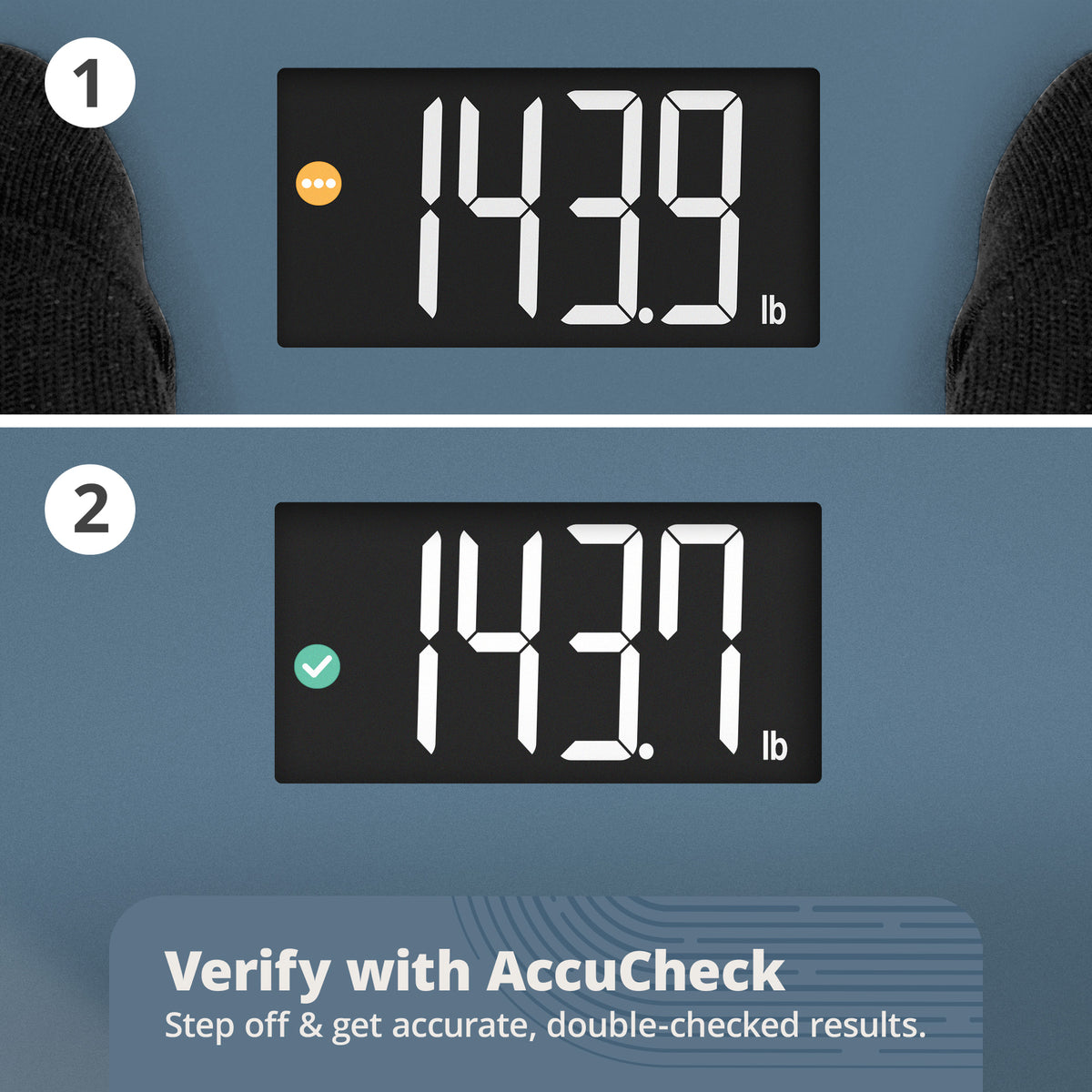 AccuCheck Scale