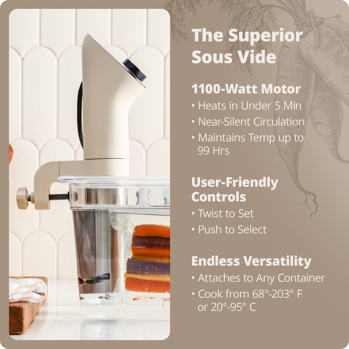 Sous Vide Precision Cooker