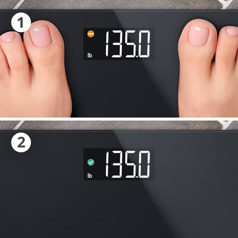 AccuCheck Body Weight Digital Black Scale