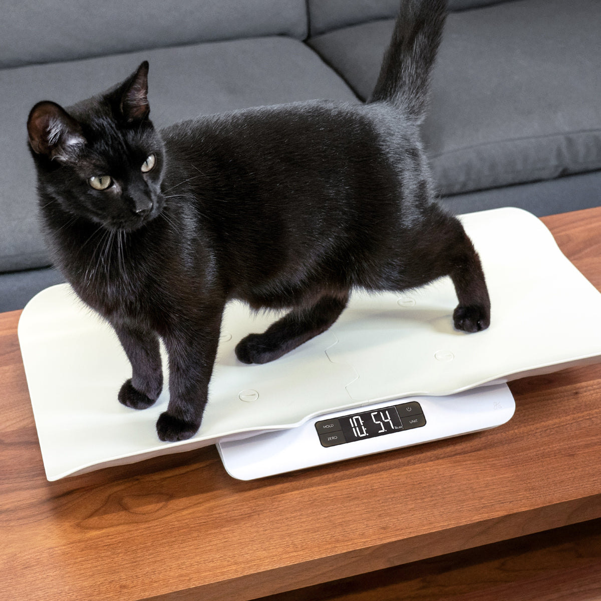 Pet Scale - Greater Goods