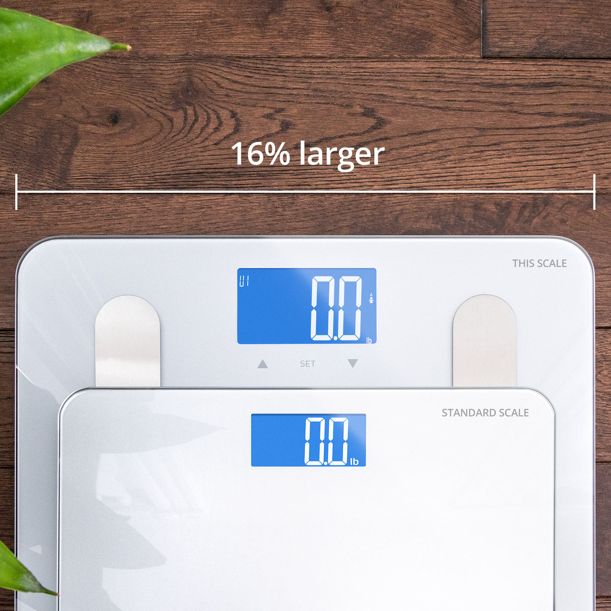 High Capacity Body Composition Scale - Greater Goods