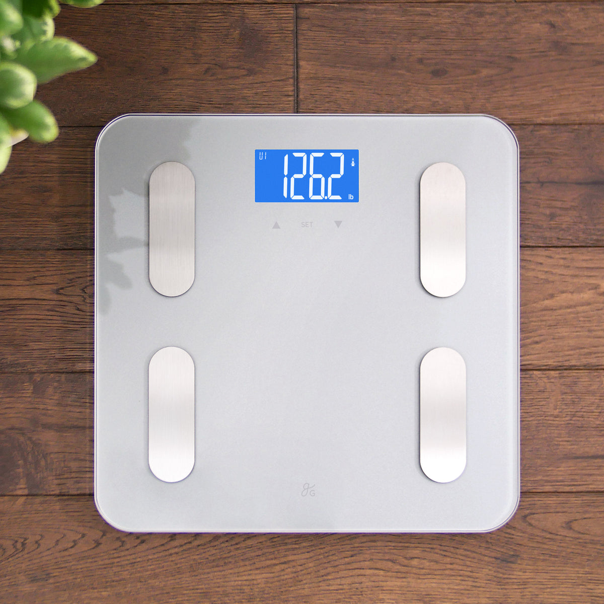 Body Composition Scale - Greater Goods